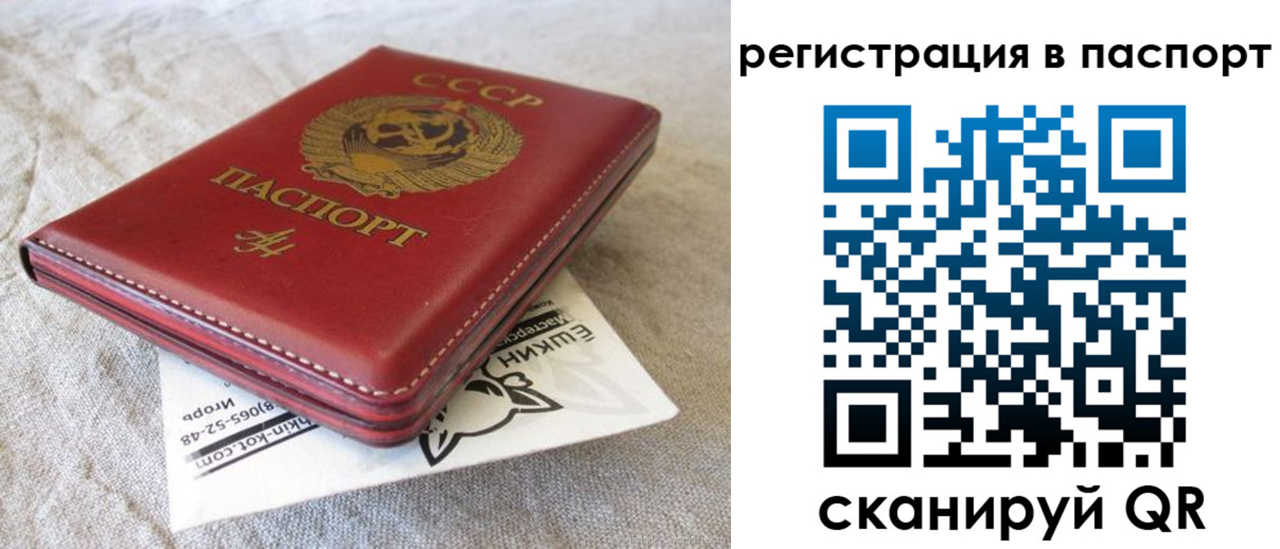 где прописаться в Курской области